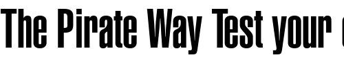 Font : Helvetica-Ultra-Compressed Custom Text : The Pirate Way Test your own text here Click to download or to view this font on a tshirt that can be custom printed in Bali
