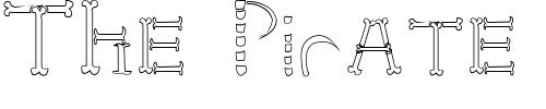 Font : HoneBone-Hakkotsu Custom Text : The Pirate Way Test your own text here Click to download or to view this font on a tshirt that can be custom printed in Bali