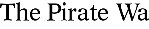 Font : InformaticsSSK Custom Text : The Pirate Way Test your own text here Click to download or to view this font on a tshirt that can be custom printed in Bali