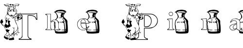 Font : KG-MOO Custom Text : The Pirate Way Test your own text here Click to download or to view this font on a tshirt that can be custom printed in Bali
