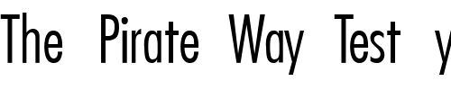 Font : Kudos-Light-Condensed-SSi-Extra-Light-Condensed Custom Text : The Pirate Way Test your own text here Click to download or to view this font on a tshirt that can be custom printed in Bali