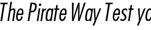 Font : KudosLightCondSSK-Bold-Italic Custom Text : The Pirate Way Test your own text here Click to download or to view this font on a tshirt that can be custom printed in Bali