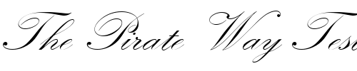 Font : KunstlerschreibschJoiDMed Custom Text : The Pirate Way Test your own text here Click to download or to view this font on a tshirt that can be custom printed in Bali