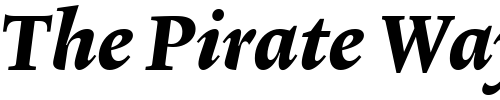 Font : Lexicon-No2-Italic-E-Txt Custom Text : The Pirate Way Test your own text here Click to download or to view this font on a tshirt that can be custom printed in Bali