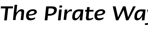 Font : Linotype-Ergo-Medium-Italic Custom Text : The Pirate Way Test your own text here Click to download or to view this font on a tshirt that can be custom printed in Bali