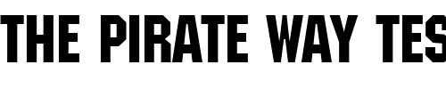 Font : MachineItcDEE Custom Text : The Pirate Way Test your own text here Click to download or to view this font on a tshirt that can be custom printed in Bali