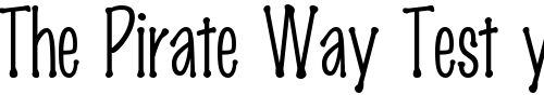 Font : Marker-FinePoint Custom Text : The Pirate Way Test your own text here Click to download or to view this font on a tshirt that can be custom printed in Bali