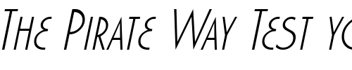 Font : Marquisette-BTN-Light-Oblique Custom Text : The Pirate Way Test your own text here Click to download or to view this font on a tshirt that can be custom printed in Bali