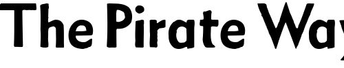 Font : Metro-Medium-HPLHS Custom Text : The Pirate Way Test your own text here Click to download or to view this font on a tshirt that can be custom printed in Bali