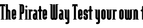 Font : ModulaRoundSerif-Black Custom Text : The Pirate Way Test your own text here Click to download or to view this font on a tshirt that can be custom printed in Bali