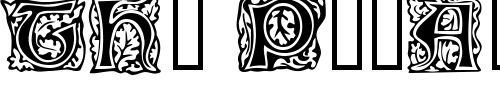 Font : Morris-Initials Custom Text : The Pirate Way Test your own text here Click to download or to view this font on a tshirt that can be custom printed in Bali