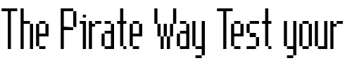 Font : NewGenevaNineICG-Point Custom Text : The Pirate Way Test your own text here Click to download or to view this font on a tshirt that can be custom printed in Bali