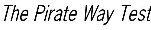Font : NewsGothicCnd-2 Custom Text : The Pirate Way Test your own text here Click to download or to view this font on a tshirt that can be custom printed in Bali