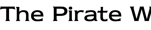 Font : Newtext-Regular-BT Custom Text : The Pirate Way Test your own text here Click to download or to view this font on a tshirt that can be custom printed in Bali