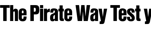 Font : Nimbus_Sans_Becker_PBlaCon Custom Text : The Pirate Way Test your own text here Click to download or to view this font on a tshirt that can be custom printed in Bali