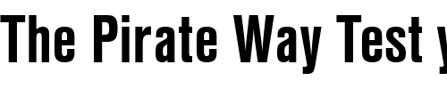Font : Nimbus_Sans_Becker_TCon_Bold Custom Text : The Pirate Way Test your own text here Click to download or to view this font on a tshirt that can be custom printed in Bali
