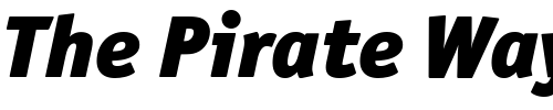 Font : Officina-San-ITC-Black-Italic Custom Text : The Pirate Way Test your own text here Click to download or to view this font on a tshirt that can be custom printed in Bali
