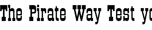 Font : OldTowneNo536D Custom Text : The Pirate Way Test your own text here Click to download or to view this font on a tshirt that can be custom printed in Bali