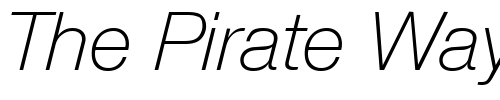 Font : Olnova-LightIta Custom Text : The Pirate Way Test your own text here Click to download or to view this font on a tshirt that can be custom printed in Bali