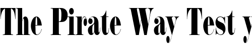 Font : PT-Cargo-Compressed Custom Text : The Pirate Way Test your own text here Click to download or to view this font on a tshirt that can be custom printed in Bali