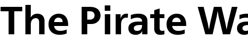 Font : PT-FreeSet-Bold-Cyrillic Custom Text : The Pirate Way Test your own text here Click to download or to view this font on a tshirt that can be custom printed in Bali