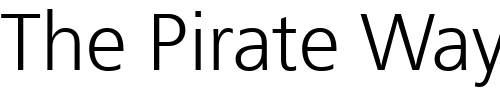 Font : PT-FreeSet-Cyrillic Custom Text : The Pirate Way Test your own text here Click to download or to view this font on a tshirt that can be custom printed in Bali