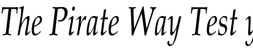 Font : PaduaCondensed-Italic Custom Text : The Pirate Way Test your own text here Click to download or to view this font on a tshirt that can be custom printed in Bali