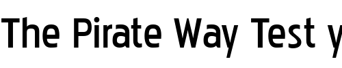 Font : Pakenham-Bk Custom Text : The Pirate Way Test your own text here Click to download or to view this font on a tshirt that can be custom printed in Bali