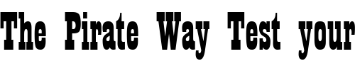 Font : Playbill Custom Text : The Pirate Way Test your own text here Click to download or to view this font on a tshirt that can be custom printed in Bali