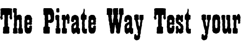 Font : PlaybillAntD Custom Text : The Pirate Way Test your own text here Click to download or to view this font on a tshirt that can be custom printed in Bali