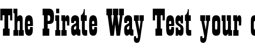Font : PlaybillD Custom Text : The Pirate Way Test your own text here Click to download or to view this font on a tshirt that can be custom printed in Bali