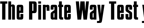 Font : PompejiRegular Custom Text : The Pirate Way Test your own text here Click to download or to view this font on a tshirt that can be custom printed in Bali
