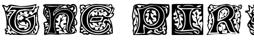 Font : ProuxCapsSSK-Regular Custom Text : The Pirate Way Test your own text here Click to download or to view this font on a tshirt that can be custom printed in Bali