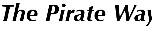Font : QTOptimum-Bold-Italic Custom Text : The Pirate Way Test your own text here Click to download or to view this font on a tshirt that can be custom printed in Bali