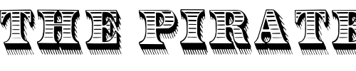 Font : RadiantAntique Custom Text : The Pirate Way Test your own text here Click to download or to view this font on a tshirt that can be custom printed in Bali