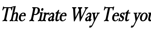 Font : Rapid-Thin-BoldItalic Custom Text : The Pirate Way Test your own text here Click to download or to view this font on a tshirt that can be custom printed in Bali