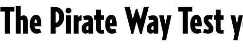 Font : RelayComp-Black Custom Text : The Pirate Way Test your own text here Click to download or to view this font on a tshirt that can be custom printed in Bali
