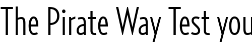 Font : RelayComp-Light Custom Text : The Pirate Way Test your own text here Click to download or to view this font on a tshirt that can be custom printed in Bali