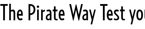 Font : RelayComp-Regular Custom Text : The Pirate Way Test your own text here Click to download or to view this font on a tshirt that can be custom printed in Bali