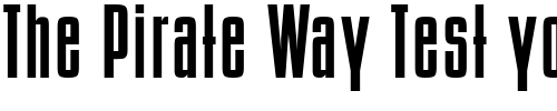 Font : ReportBold Custom Text : The Pirate Way Test your own text here Click to download or to view this font on a tshirt that can be custom printed in Bali