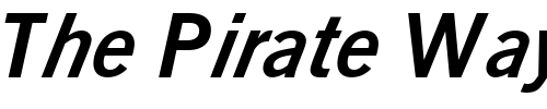 Font : Reporter-Bold-Oblique Custom Text : The Pirate Way Test your own text here Click to download or to view this font on a tshirt that can be custom printed in Bali