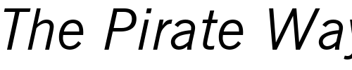 Font : Reporter-Oblique Custom Text : The Pirate Way Test your own text here Click to download or to view this font on a tshirt that can be custom printed in Bali