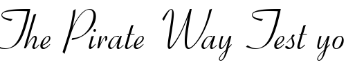 Font : Ribbon-131-BT Custom Text : The Pirate Way Test your own text here Click to download or to view this font on a tshirt that can be custom printed in Bali