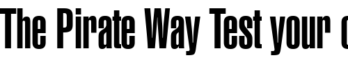 Font : font224 Custom Text : The Pirate Way Test your own text here Click to download or to view this font on a tshirt that can be custom printed in Bali
