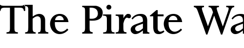 Font : ft8r-Roman Custom Text : The Pirate Way Test your own text here Click to download or to view this font on a tshirt that can be custom printed in Bali