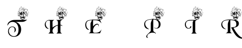 Font : pf_Einstien Custom Text : The Pirate Way Test your own text here Click to download or to view this font on a tshirt that can be custom printed in Bali
