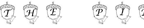 Font : pf_acornmouse Custom Text : The Pirate Way Test your own text here Click to download or to view this font on a tshirt that can be custom printed in Bali