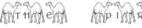 Font : pf_caml2 Custom Text : The Pirate Way Test your own text here Click to download or to view this font on a tshirt that can be custom printed in Bali