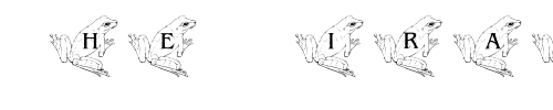 Font : pf_froggy_5 Custom Text : The Pirate Way Test your own text here Click to download or to view this font on a tshirt that can be custom printed in Bali