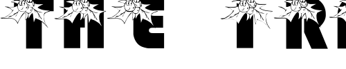 Font : pf_holly-1 Custom Text : The Pirate Way Test your own text here Click to download or to view this font on a tshirt that can be custom printed in Bali